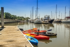 Boats-2015