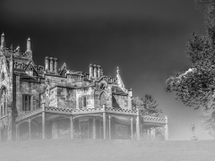 Lyndhurst in the Fog
