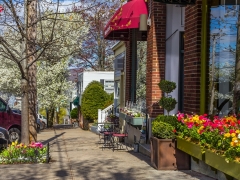 The Black Cat, Main St